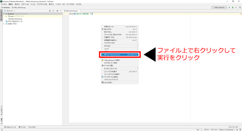 PyCharm Hello_DOMEMO実行